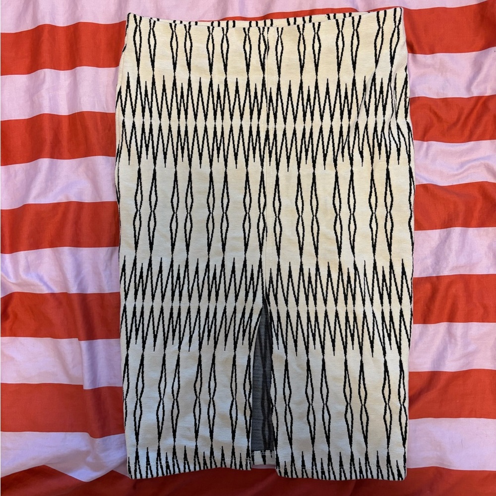 ZARA skirt